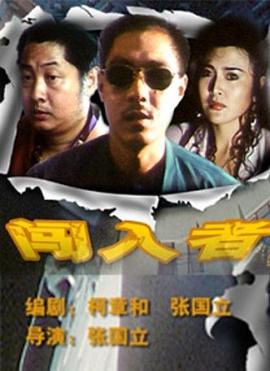 闯入者（1993）